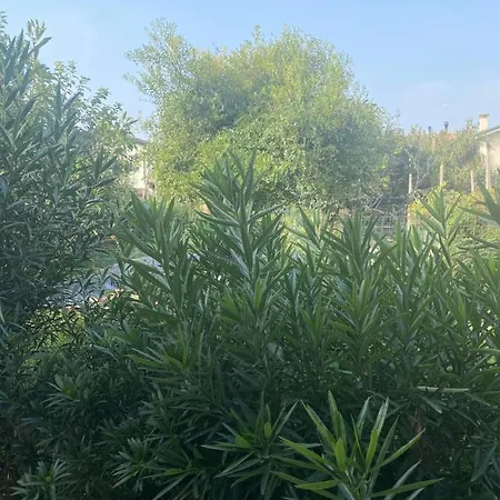 Le Rose Bed and breakfast