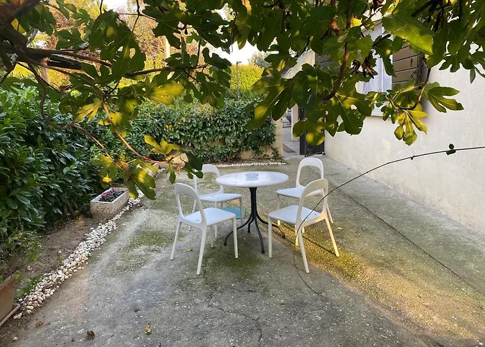 Le Rose Villafranca Padovana